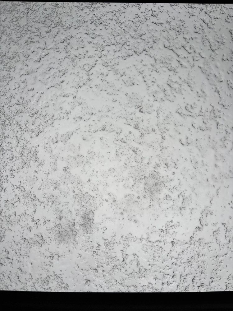 snowy ice on a cars sunroof, photo taken from inside the car. the sky is light gray