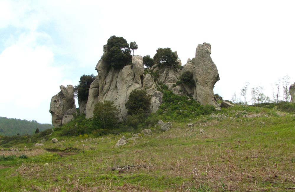 green and brown field and at the center is a huge sandstone formation with several trees sprouting from it