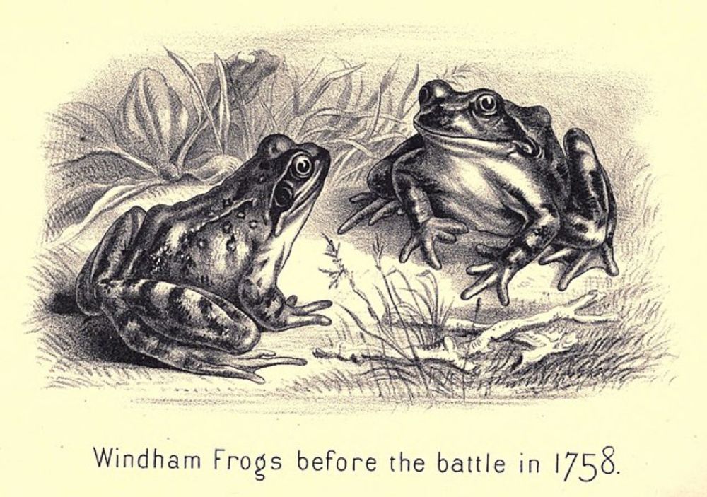 Battle of the Frogs - Wikipedia