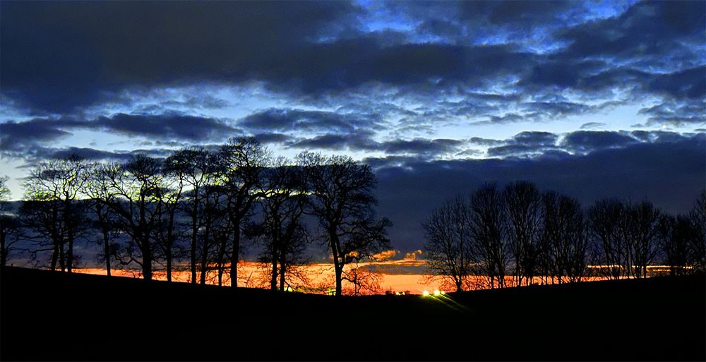 Late winter evening on the Lancaster Canal, showing a golden sunset behind a row of leaveless trees