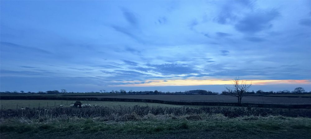 Evening bue-hour view across rural fields from a canal towpath, with some sheep in the foreground, a tree in the middle distance and the faint lights of a pub in the background, under a dramatic windblown sky.