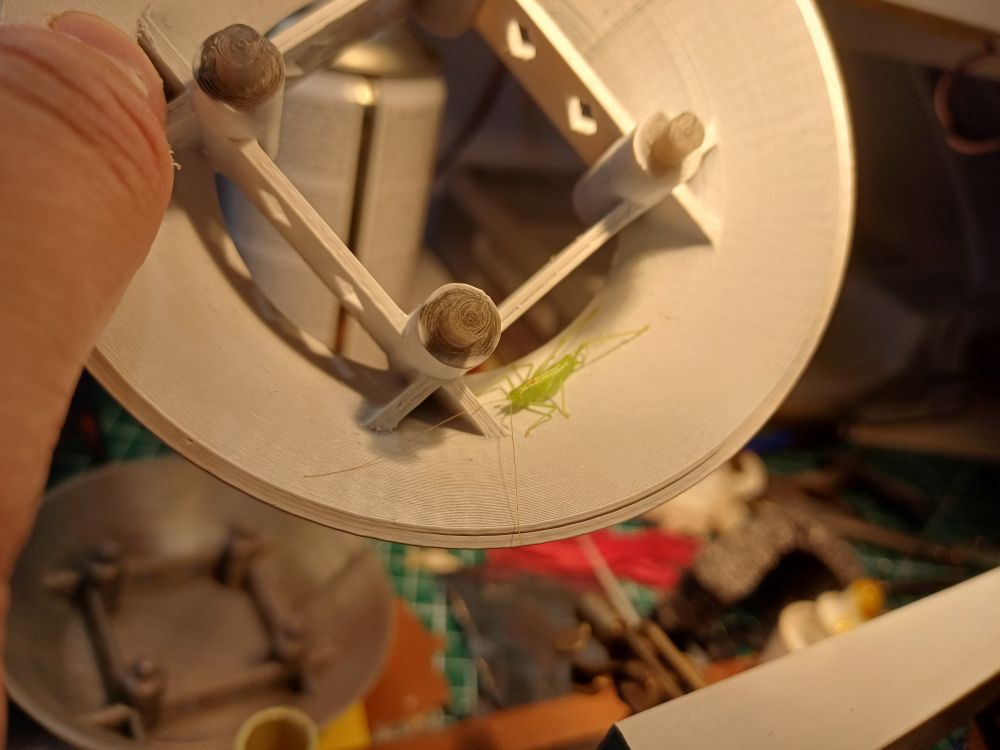 Small bright green grasshopper sitting inside a cup-like segment of a weather station housing