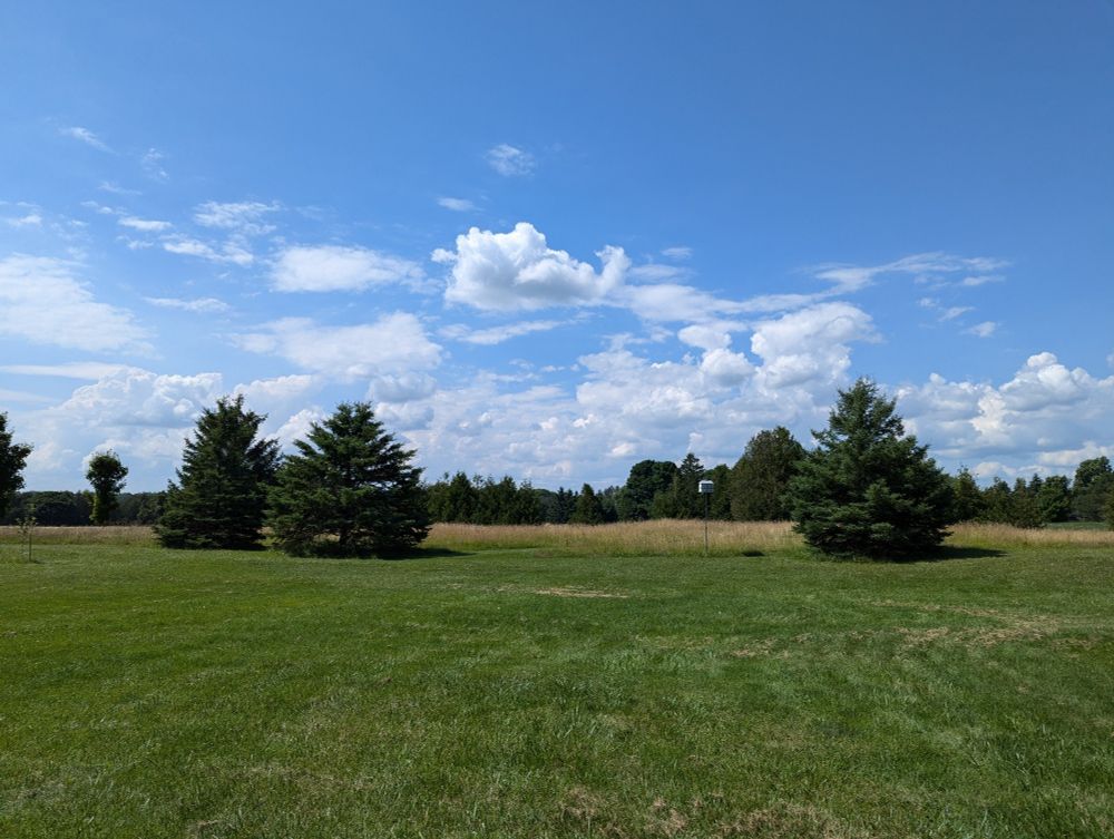A grass lawn, with a few trees. Longer grass and a line of trees in the distance.  Beautiful light blue sky and fluffy white clouds.