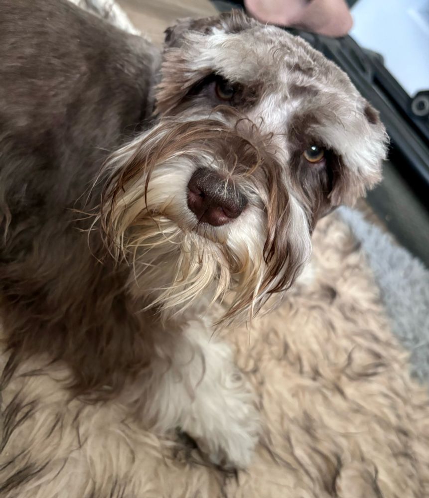 Good Morning can I please get closer? 