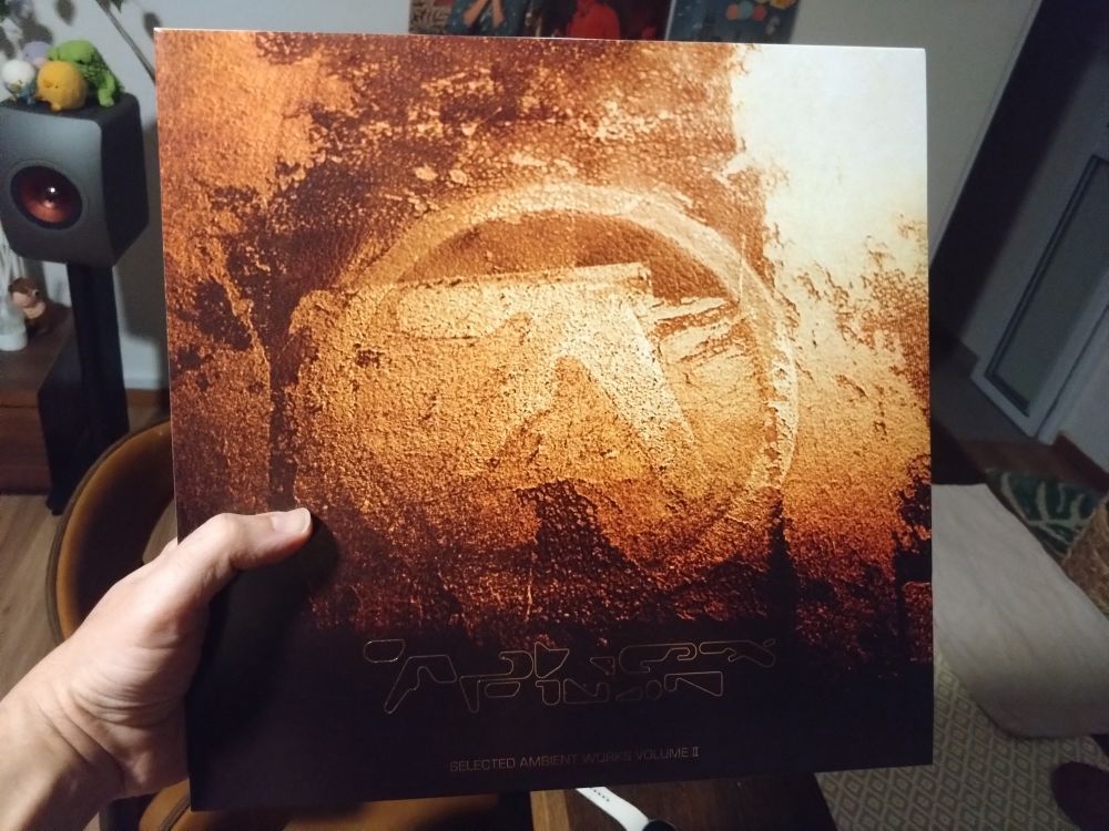 A hand holding a copy of the record Selected Ambient Works Volume 2 by Aphex Twin
