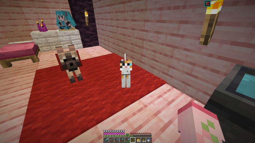 a screenshot of an unnamed minecraft cat