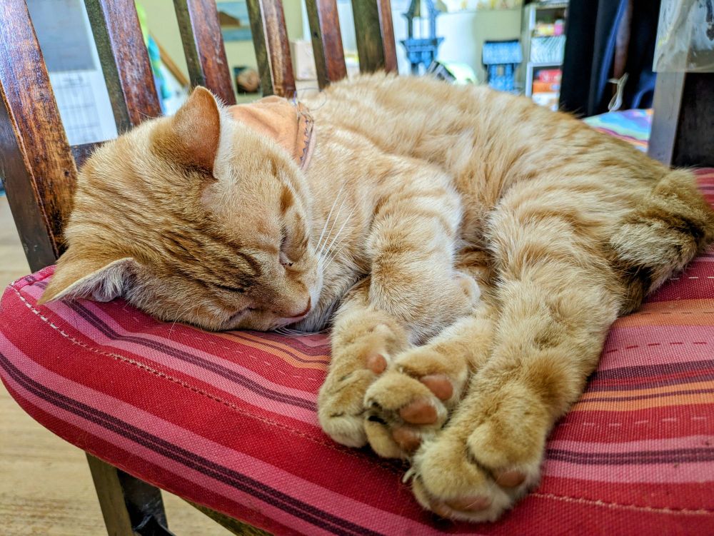 Tabby cat sleeping on a red striped cushion on a chair