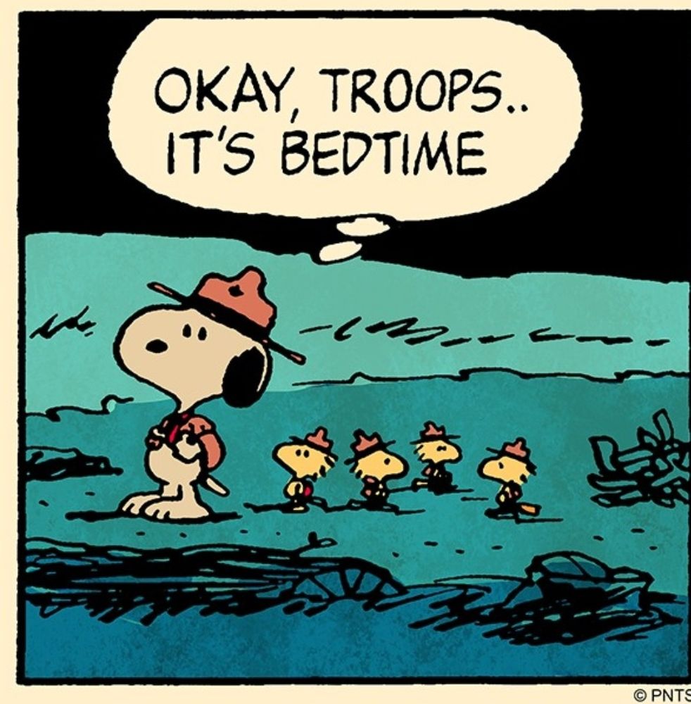 Snoopy und Woodstock und dessen Brüder und Schwestern als Pfadfinder