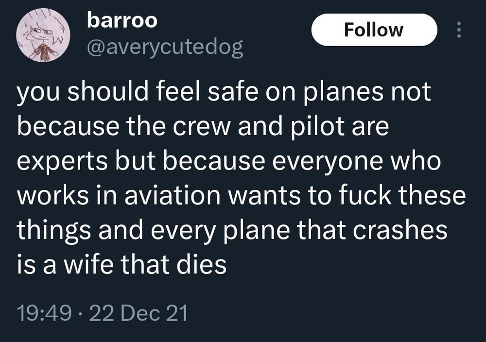 You should feel safe on planes not because the crew and pilot are experts but because everyone who works in aviation wants to fuck these things and every plane that crashes is a wife that dies