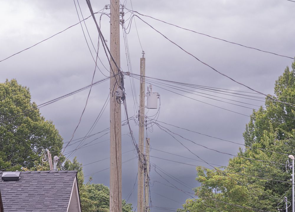 My neighborhood’s network infrastructure, which outlines the form of a cathedral’s nave.