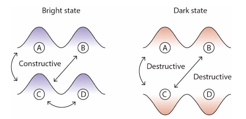 Schematic of bright and dark electronic states.