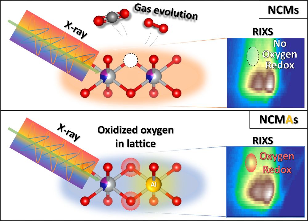 Comparison of RIXS data for a commonly used commercial cathode material, with and without aluminum doping. A feature associated with oxygen redox reactions is only present with aluminum doping. Accompanying molecular schematics show how aluminum doping might produce the observed behavior via a more stable structure.
