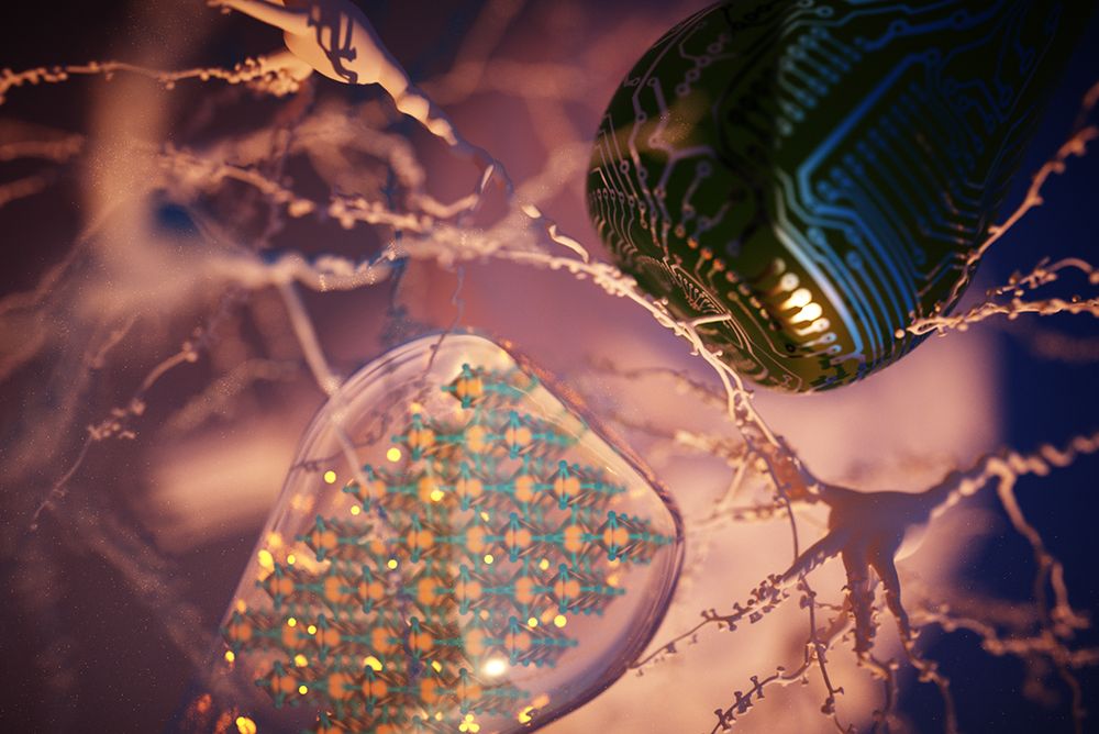 An artistic 3D illustration of neuromorphic computing, showing a close-up of a synapse (junction) between two “artificial neurons.” The neuron on the lower left contain a molecular crystal structure encased in a transparent material, and the one on the upper right has a dark surface printed with circuitry. Organic-looking neuron-like dendrites float in space around the artificial neurons.