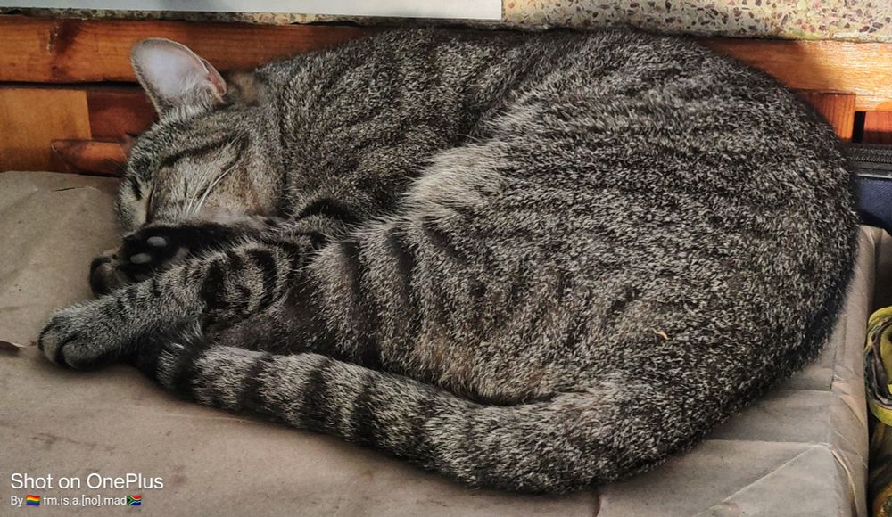 Mophedi-Nyakallo, the youngest boy.