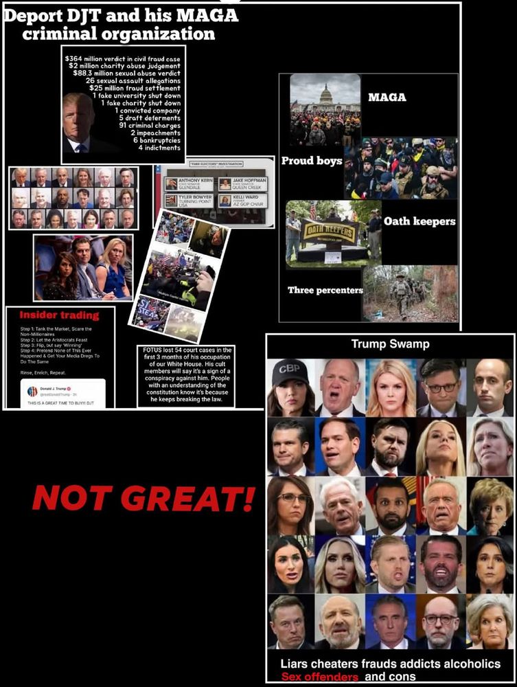 Maga criminals 