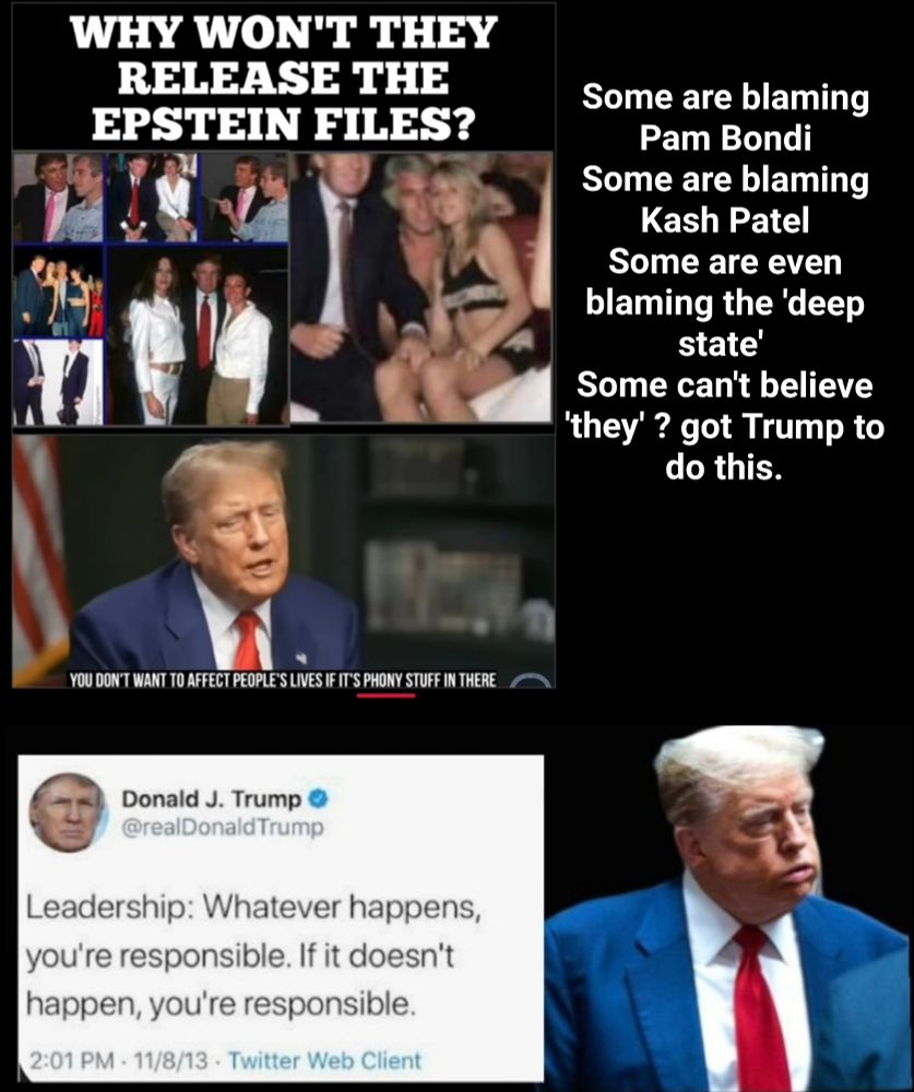 WHY WON'T THEY RELEASE THE EPSTEIN FILES?

Some are blaming

Pam Bondi

Some are blaming Kash Patel

Some are even blaming the 'deep state'

Some can't believe 'they'? got Trump to do this.

YOU DON'T WANT TO AFFECT PEOPLE'S LIVES IF IT'S PHONY STUFF IN THERE

Donald J. Trump

@realDonald Trump

Leadership: Whatever happens, you're responsible. If it doesn't happen, you're responsible.

2:01 PM 11/8/13- Twitter Web Client