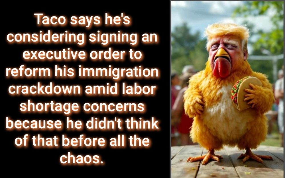 Taco says he's considering signing an executive order to reform his immigration crackdown amid labor shortage concerns because he didn't think of that before all the chaos.