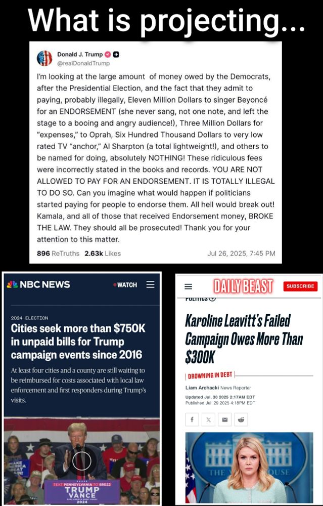 Trump post accusing dems if owing money 

Trump owes 750k to cities

Karoline Leavitt owes more than 300k