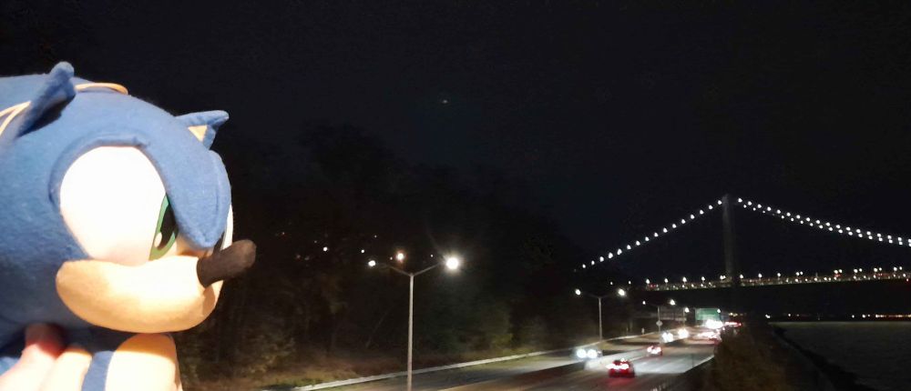 a photo of a Sonic the Hedgehog plush by a highway, with the Verrazano bridge in the background; posed as if he's looking over the highway. The lyrics accompanying the post are from the Hot Freaks song "Paycheck 2 Paycheck", particularly the lyrics:

🎵Oh whoa, whoa you, tell me what you wanna do🎵

🎵 You're alone and it's a Friday, let's tear up that highway🎵
