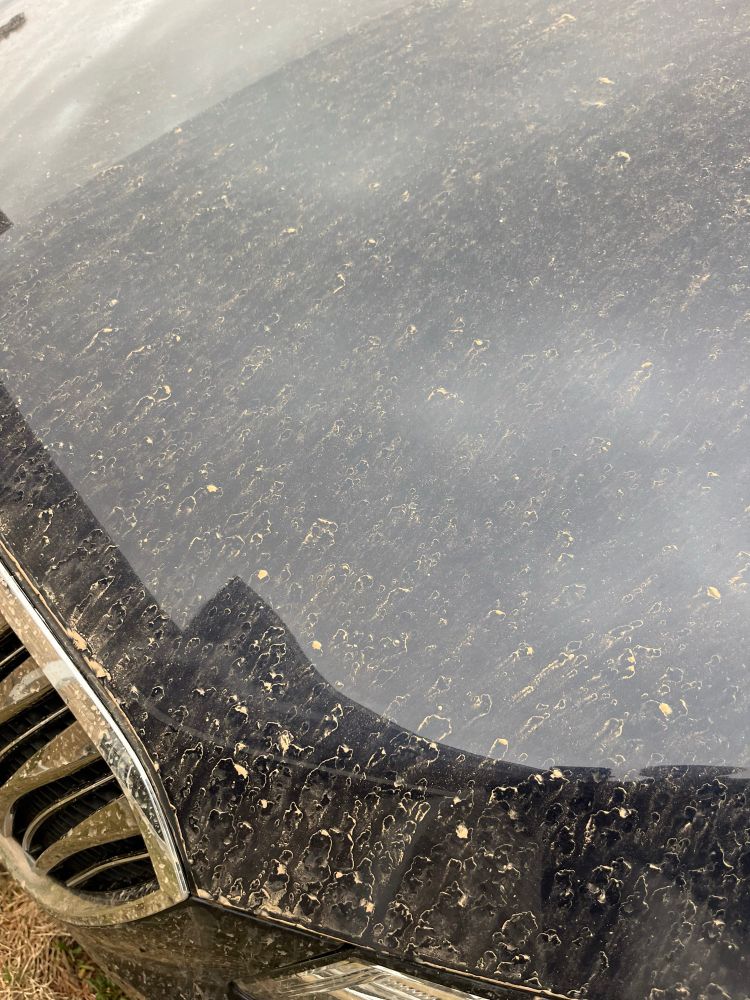 A dark car hood covered in dusty streak of rain 