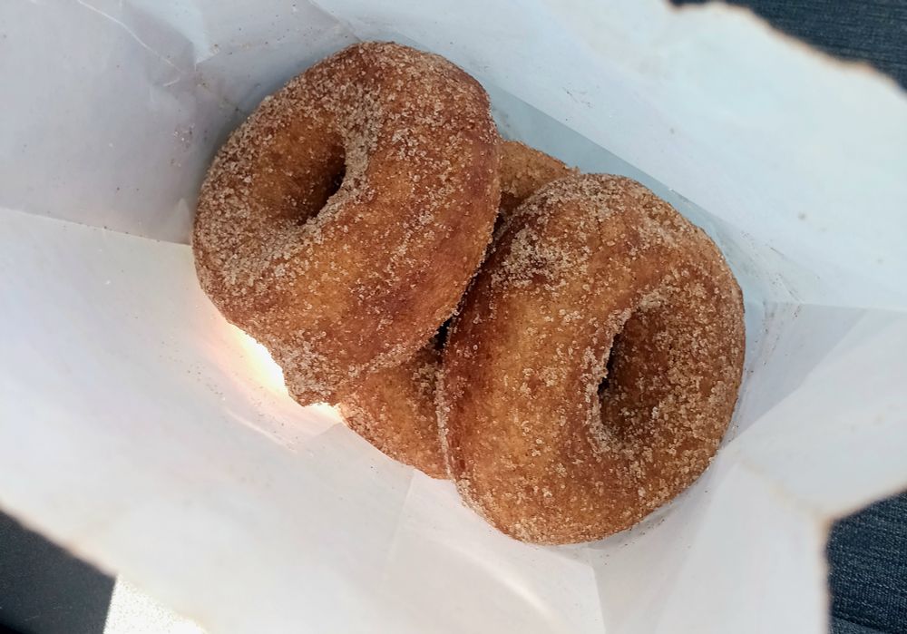 View of hot apple cider donuts from inside white paper bag