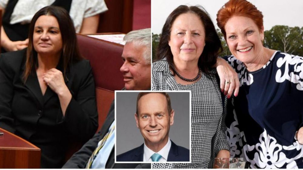 The two SA Senate candidates riding high on hopes of party brand recognition