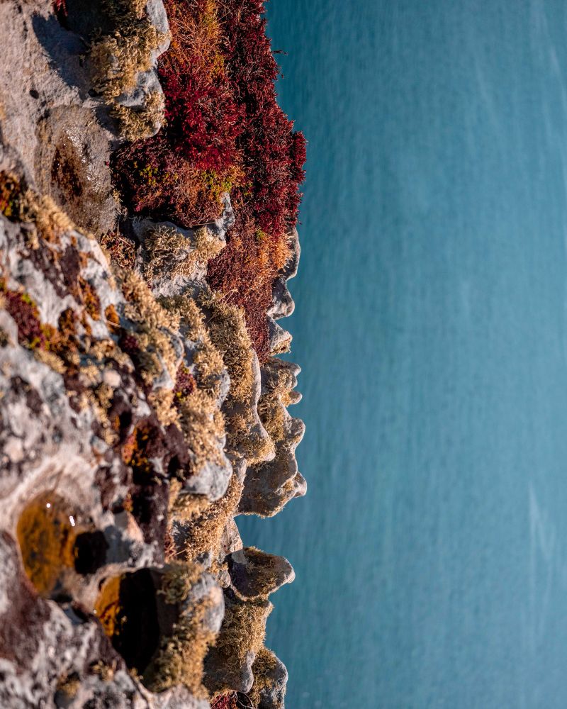 the blue sea on the right side and a stony coast in red and orange tones on the left