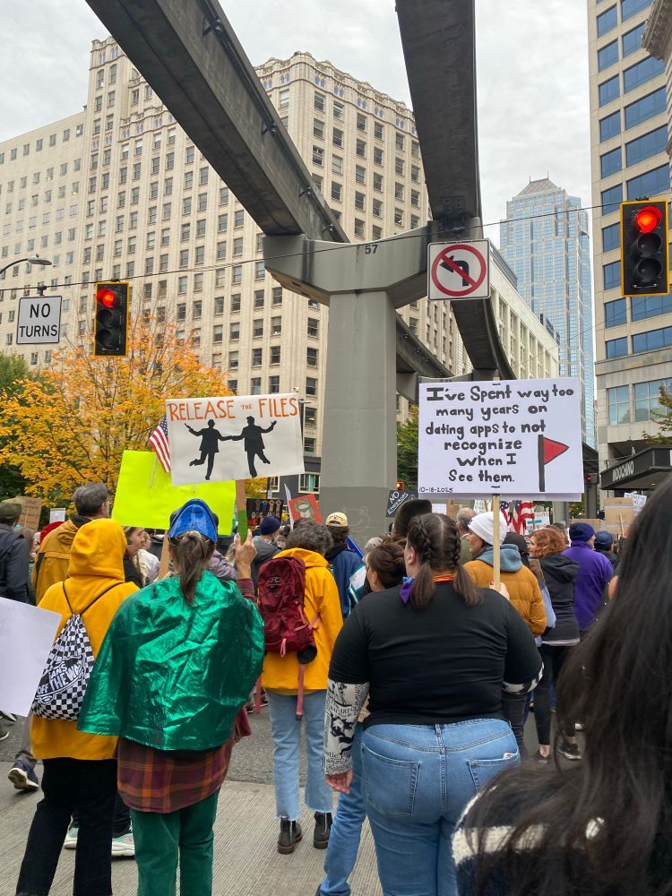 Protest signs, “release the files” with painting of trump and Epstein frolicking and “I’ve spent way too many years on dating apps to not recognize red flags when I see them”