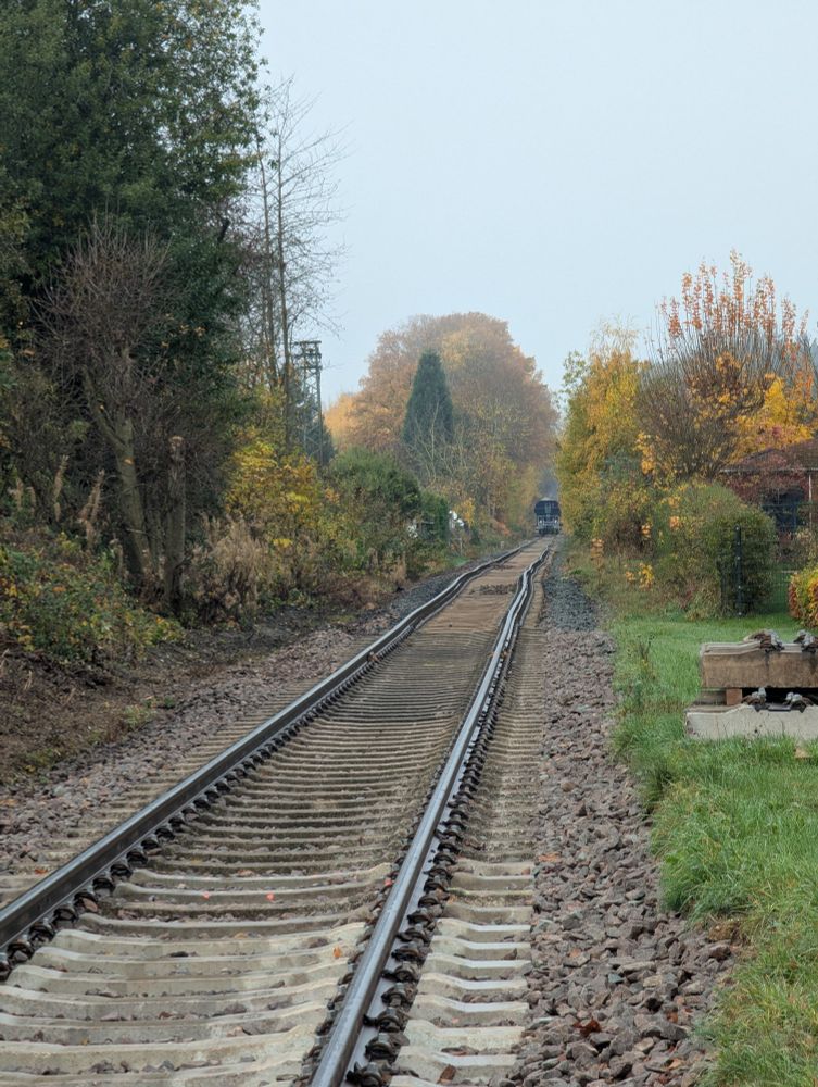 View down single track line in Sohren, Rhineland-Palatinate. Rails are not straight and there is no fencing, but there is evidence of new sleepers and vegetation control underway.