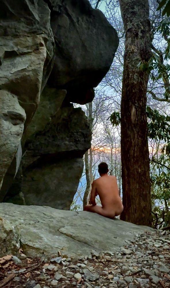 Naked man sitting in the forest on a mountain. Nude view from back, seated on a rock. 