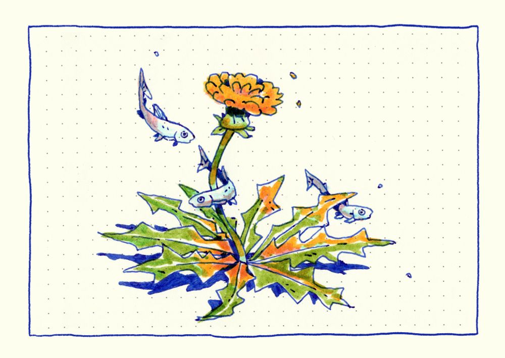 an ink and marker drawing of a single yellow-flowered dandelion against a solid cream background. three tiny silver-blue fish float-swim around the dandelion's stem and under its leaves. tiny particles, flakes of color drift in the air around them