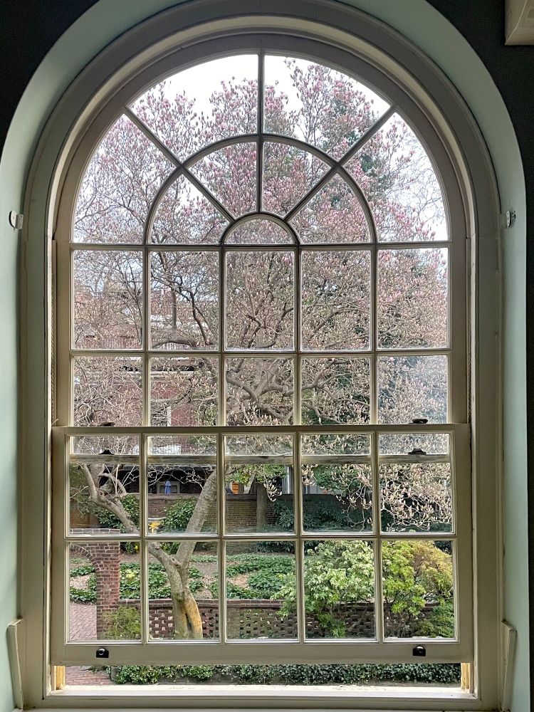 View through an arched window into an urban garden with a tree in bloom 