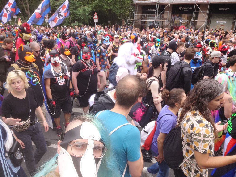 Dabs amongst a crowd of puppies at Berlin CSD