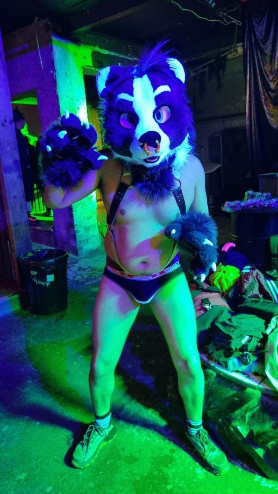 Dabs in partial fursuit, harness and jockstrap l and not much else 