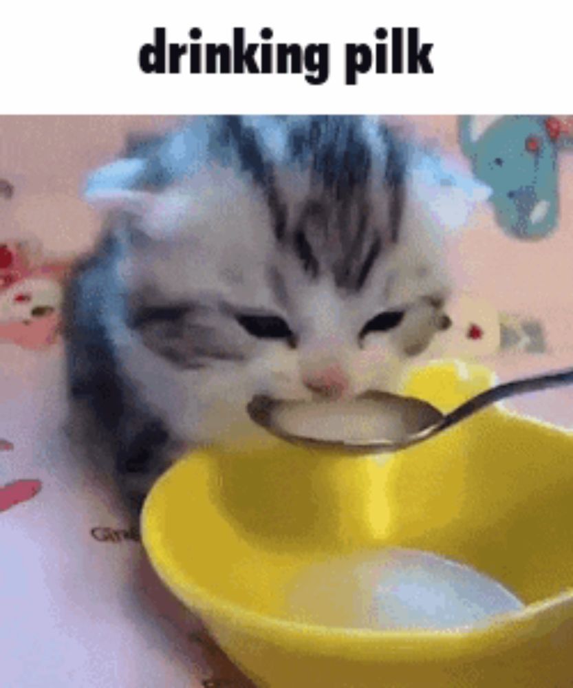 a kitten is drinking milk from a spoon in a yellow bowl .