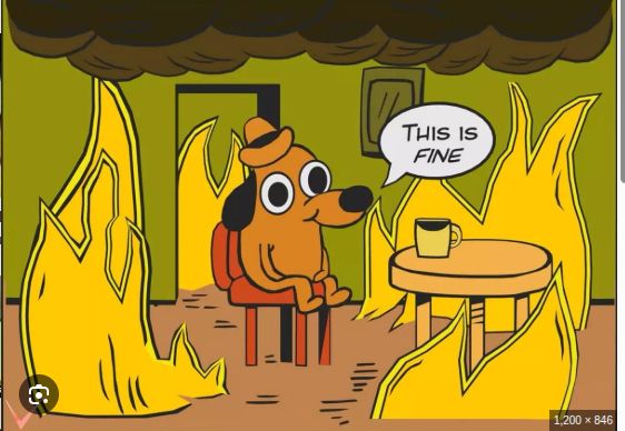 "This is fine" meme: dog at table with coffee mug, surrounded by flames.