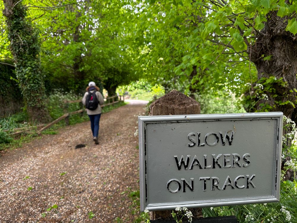 A woman walking away from the camera on the Essex Way, a wide path with trees above and to the side.  In the right foreground is a sign “slow walkers on track”.