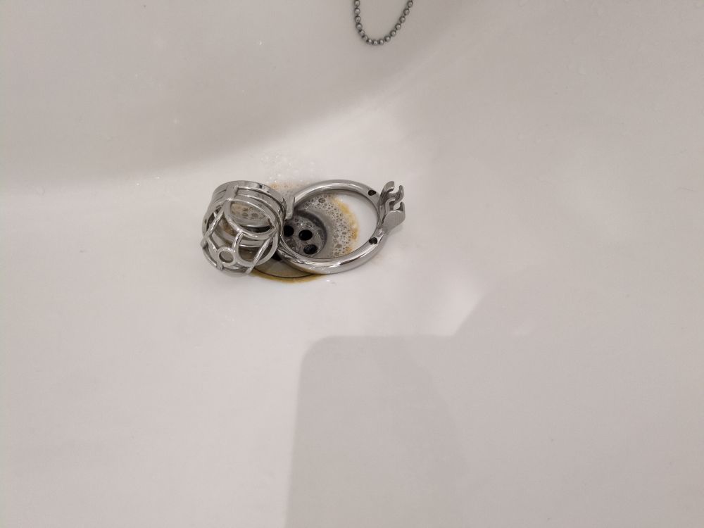 chastity cage in two halves sitting in a soapy sink