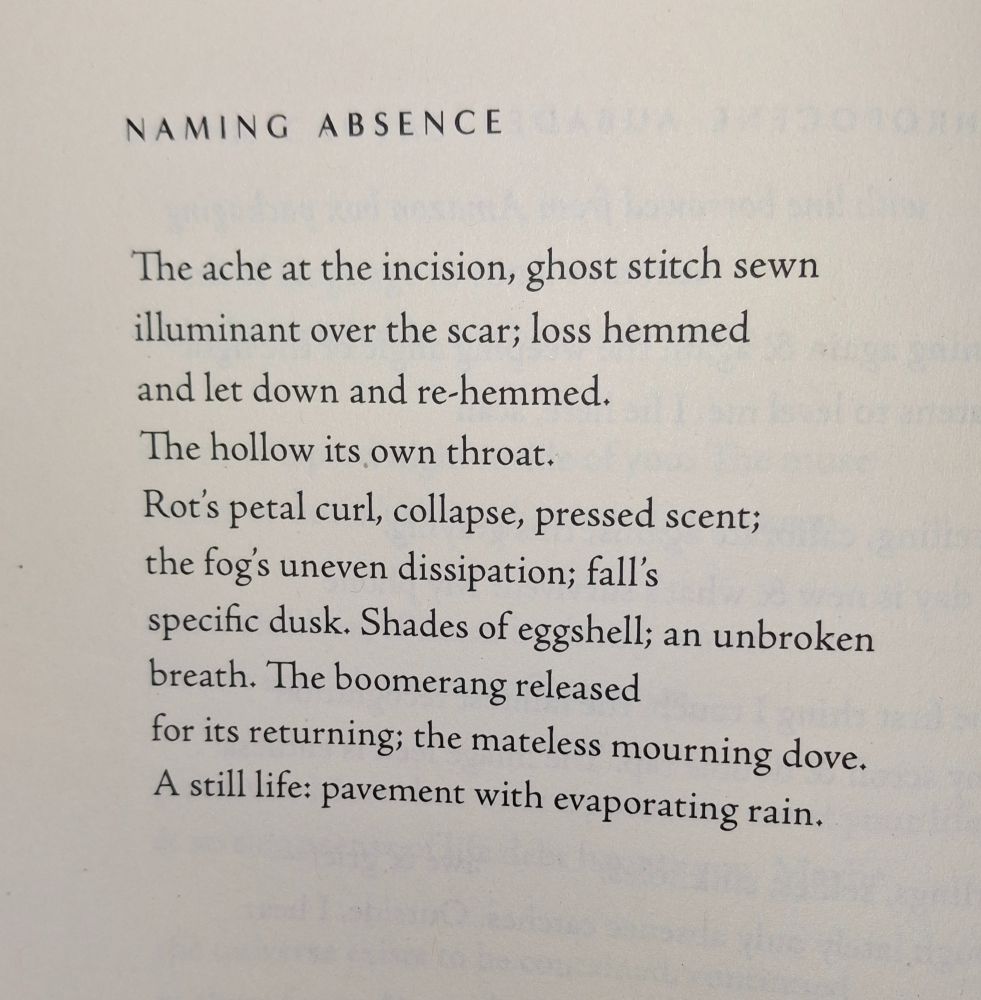Naming Absence

The ache at the incision, ghost stitch sewn
illuminant over the scar; loss hemmed
and let down and re-hemmed.
The hollow its won throat.
Rot's petal curl, collapse, pressed scent;
the fog's uneven dissipation; fall's
specific dusk. Shades of eggshell; an unbroken
breath. The boomerang released
for its returning; the mateless mourning dove.
A still life: pavement with evaporating rain.