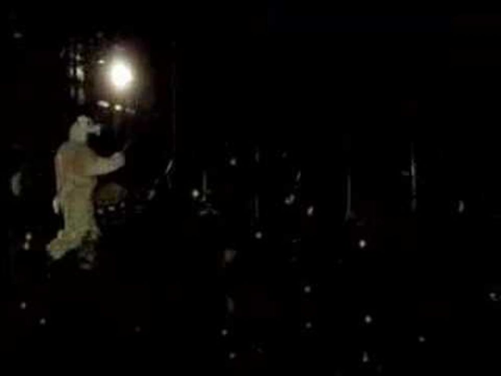 In The Night - Basia Bulat