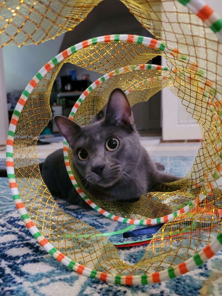 Gatsby looking through his spiral tunnel.