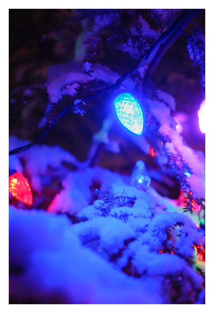 Christmas lights in a tree with fresh snow