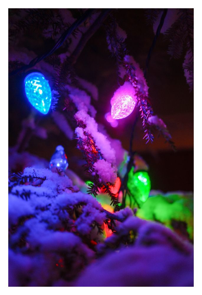 Christmas lights in a tree with fresh snow