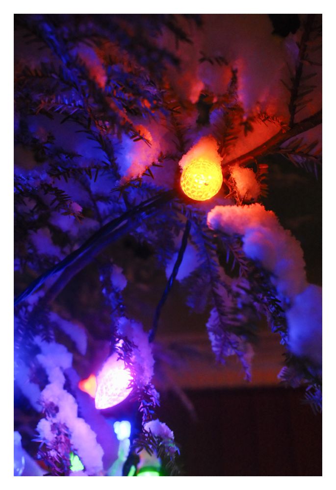 Christmas lights in a tree with fresh snow