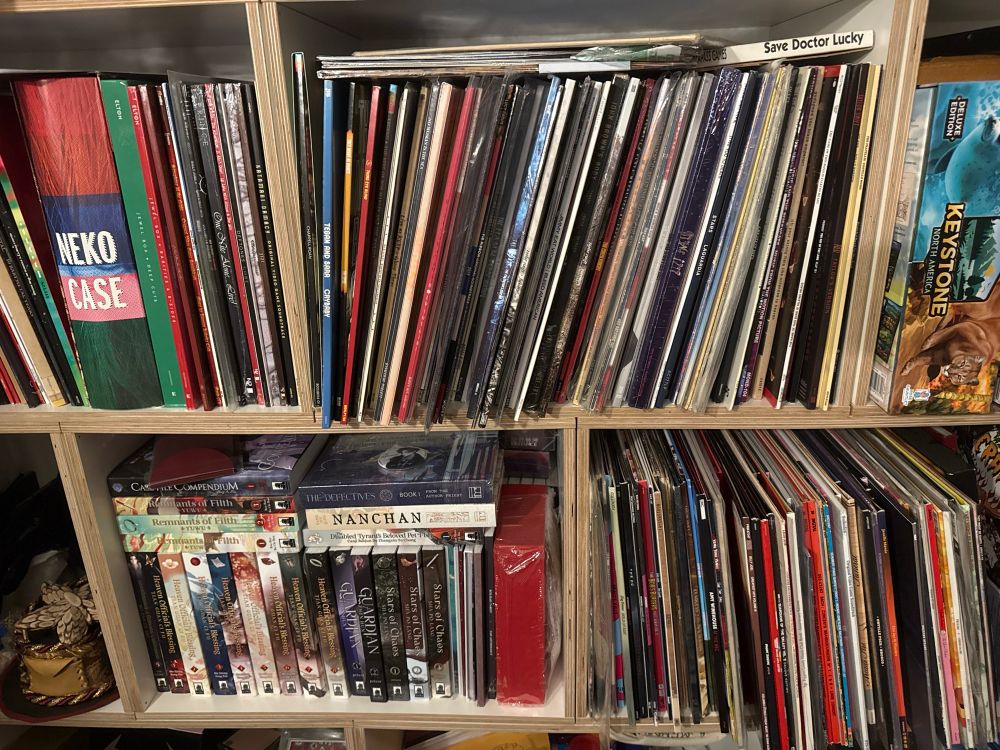 Many pieces of vinyl (and books) on shelves, including a case of Neko Case