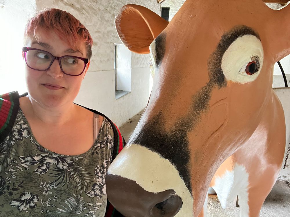 A person with short pink hair and glasses looking quizzically at a model of a large brown cow with white rings around her eyes