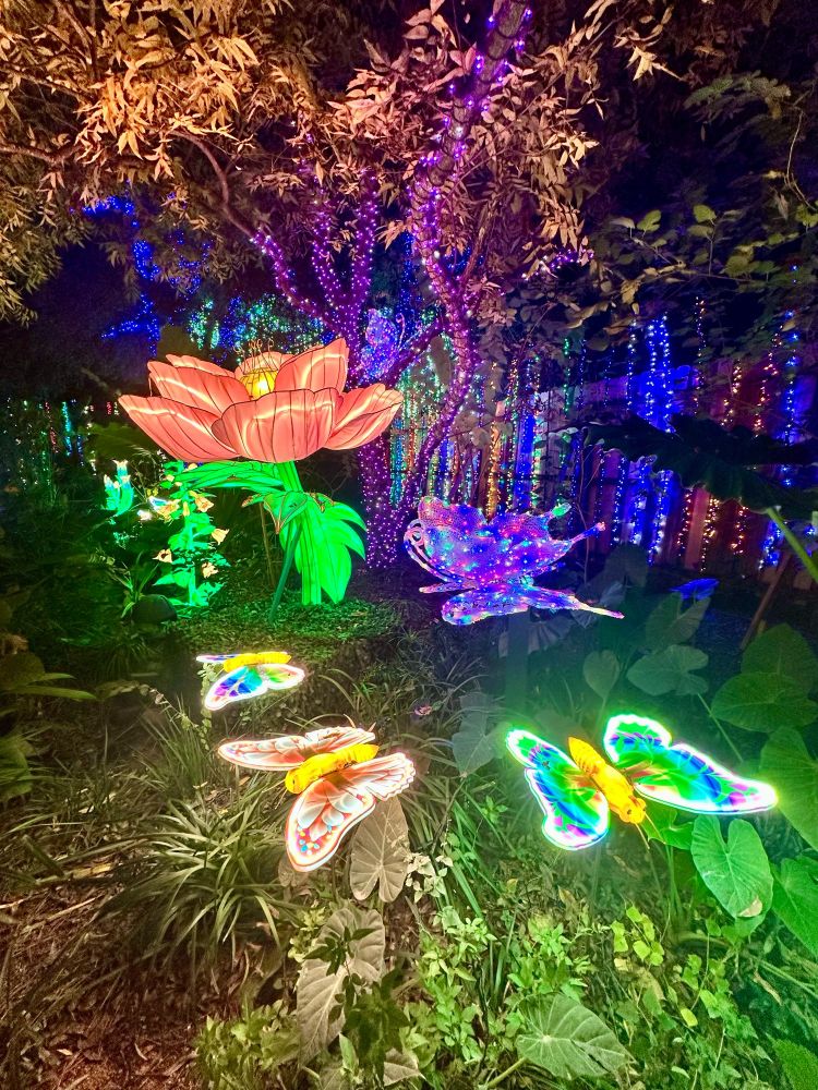 Houston Zoo Lights attraction