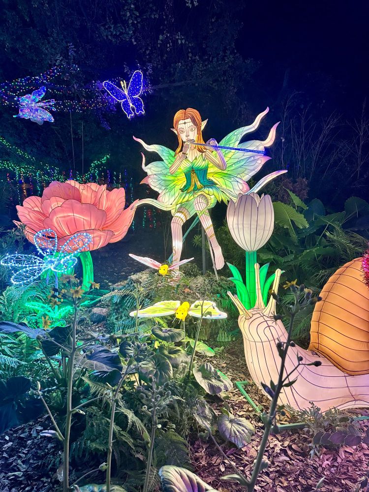 Houston Zoo Lights attraction with lit up butterflies flowers and a fairy