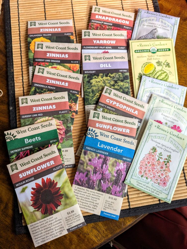 A selection of flower and vegetable seed packets.