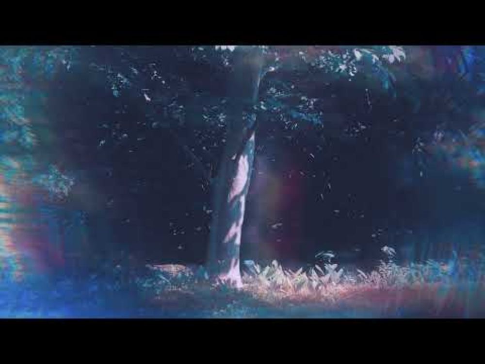 Harbors (Hollie Kenniff & Goldmund) - Indigo [Official Audio]